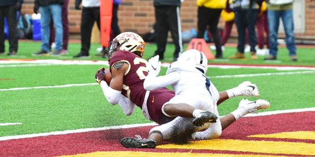 The Daily Gopher tweet media