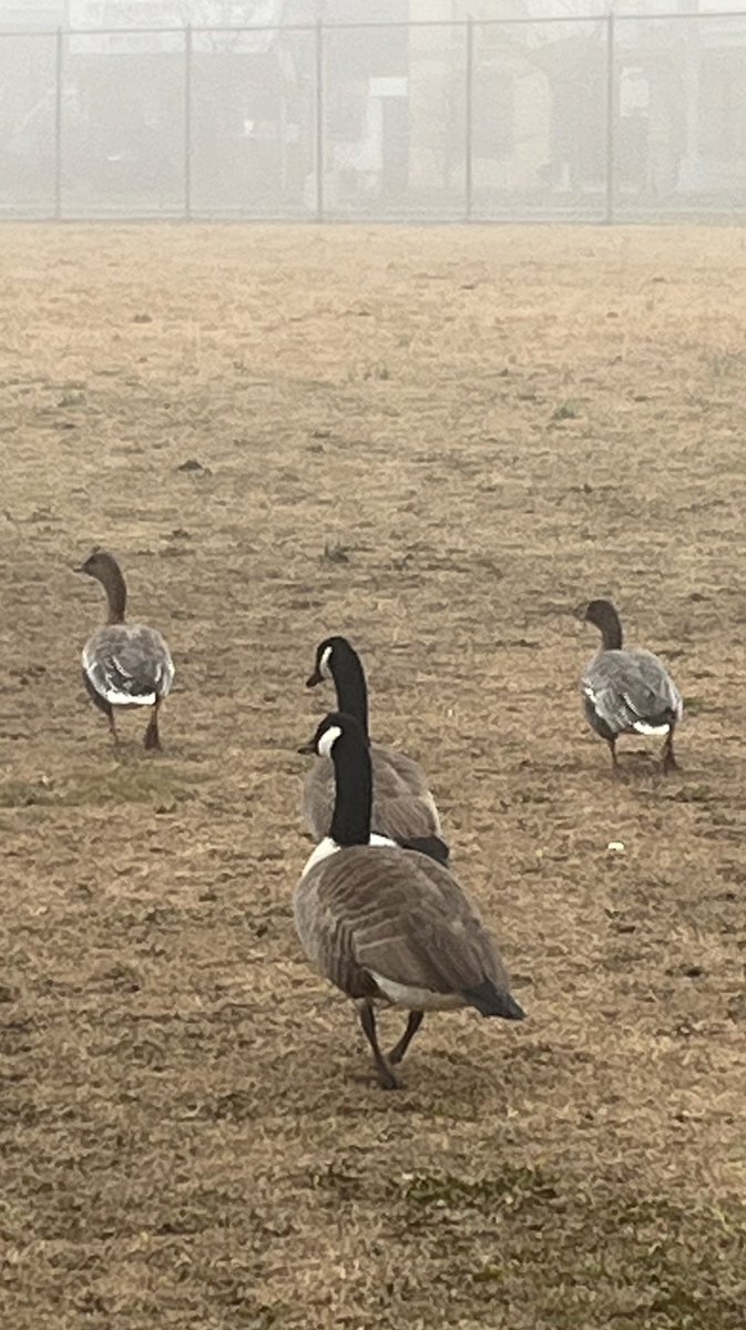 Cliff Hagen tweet media