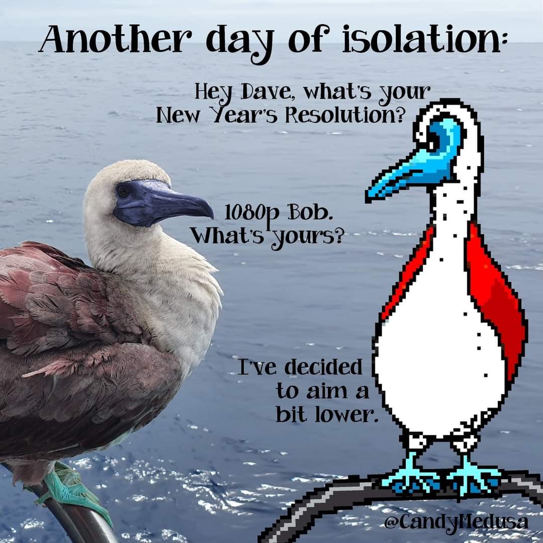 Here's to a better one <3 
#HappyNewYear2023