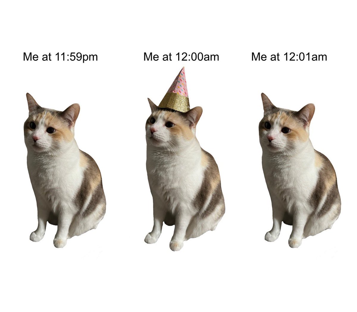 fatfatpankocat's tweet image. HAPPY NEW YEAR 🥂🎉🪩