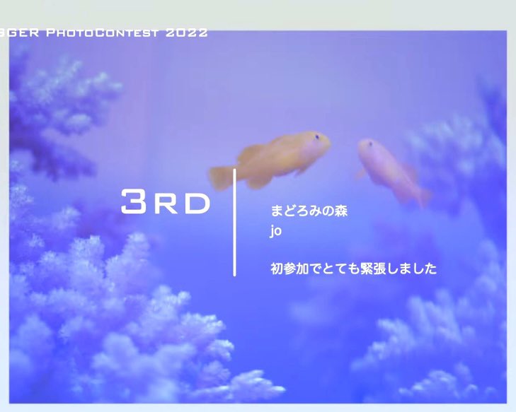 あけましておめでとうございます㊗️

昨夜は<a href="/REEF_TRIGGER/">REEF-TRIGGER</a> さんのフォトコンで3位をいただく事ができ、とても嬉しい一年の締めくくりになりました♡

まさか入賞できると思っておらず、洗濯をしながら聴いていてびっくりしました😂

投票くださった皆様ありがとうございました✨