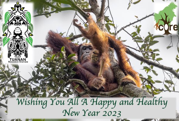 CORE Borneo tweet media