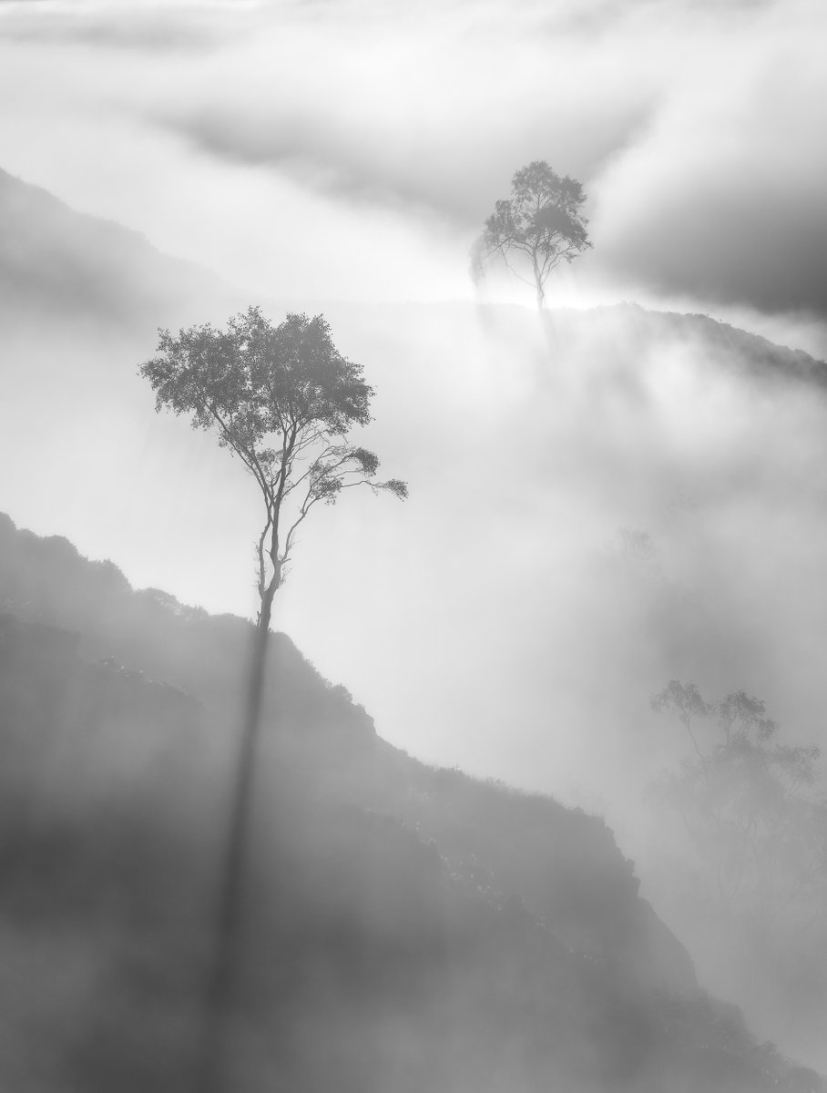 Four faves from a decent year in the end on the photography front - loved seeing everyone's work on here as always, have a great 2023 folks :-)