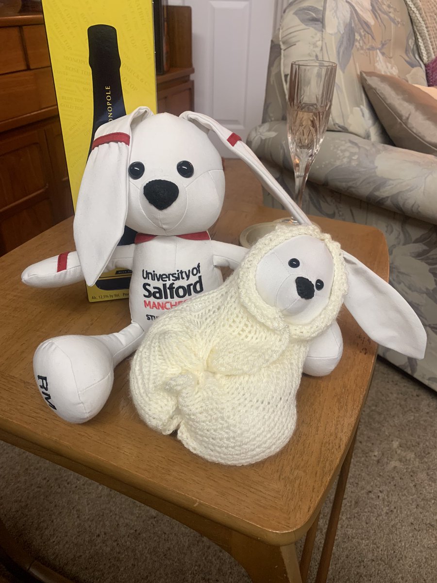 Made up with my lovely bunnies made from my student midwife uniform by my talented cousin. A lovely memento of a special time. facebook.com/memoriesaremad…