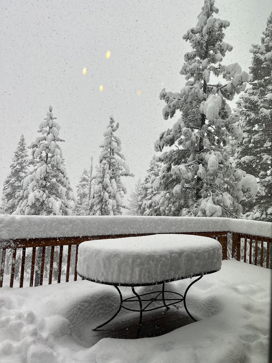 Marco d'Amore tweet media