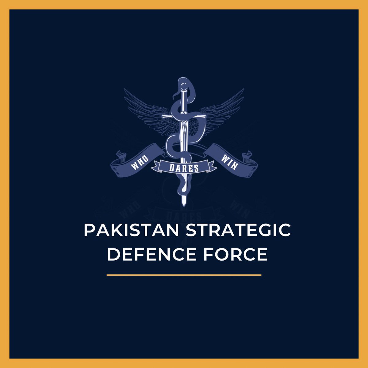 Defence Directorate on Twitter "Pakistan Strategic Defence Force (PSDF