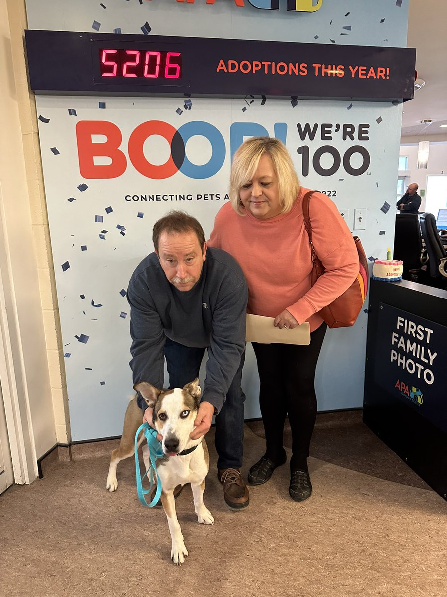 APAofMO's tweet photo. Sky was adopted at APA Brentwood today 🥰 https://t.co/Y2HZpWL4HE
