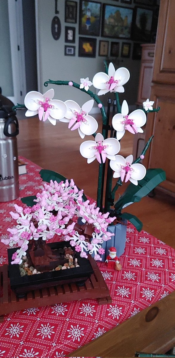 noodle_waters's tweet photo. If one could not tell. I like small pink frogs
#LEGO #pinkfrog #FroggyFriend #frogs #Flowers #Bonsai https://t.co/xTwZcUSB2H