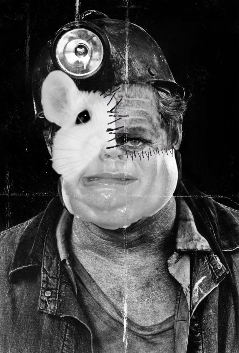 THEELITESNFT's tweet photo. #99 leave the rat race in 2023 #newbeginnings #NewYear #NFT #OpenSeaNFT #matrix #illustration #cryptocurrency #nftdrop #artwork #eth #nftart #digitalart #nftcollectibles #blockchain #defi #design #nftcollectors #crypto #bitcoin #nfts #artoftheday #artist #vintage #NFT https://t.co/YyLVXZGa9m