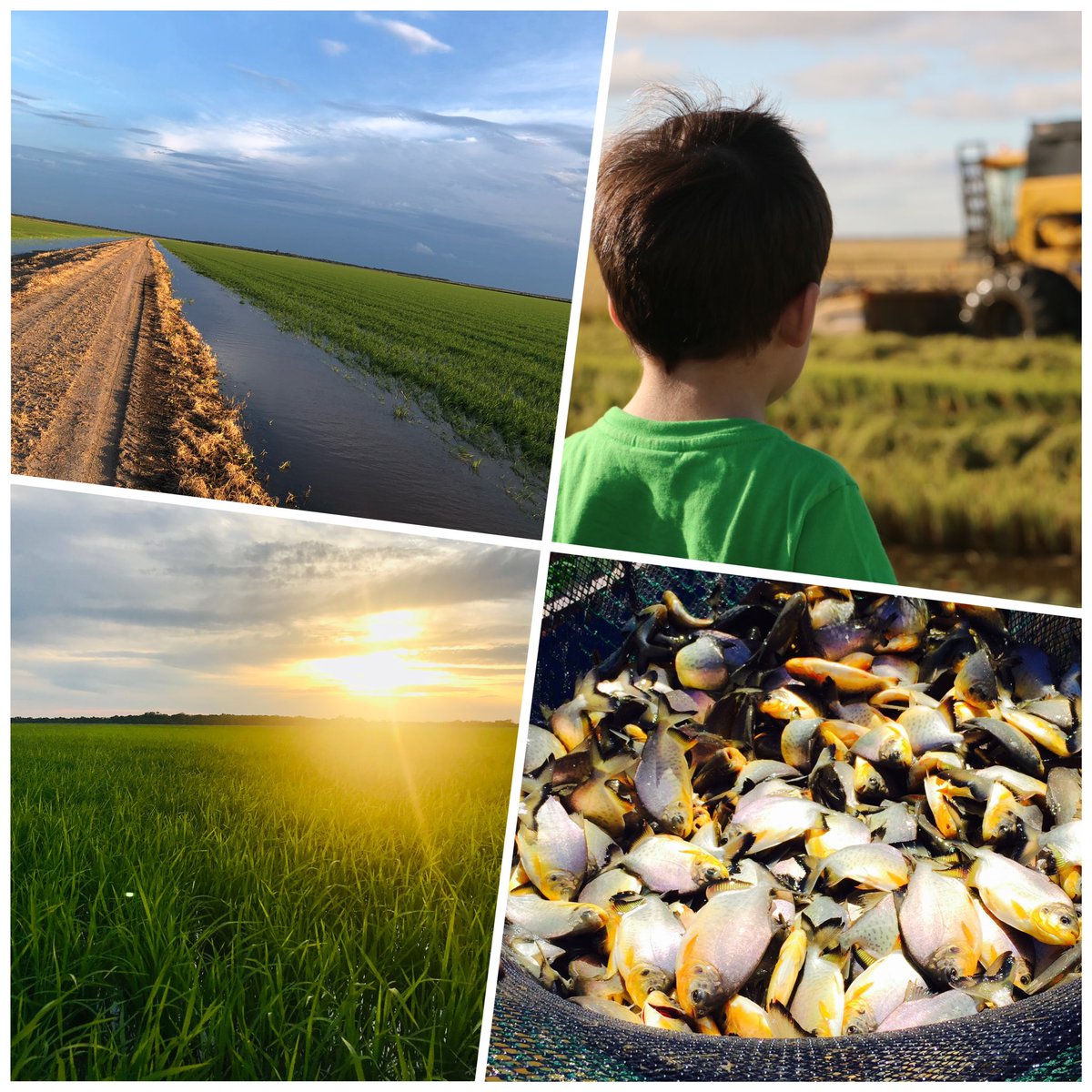 Desde PLP Group agradecemos a todas las personas que confiaron y acompañaron este año en esta hermosa tarea de crear alimentos para Argentina y el mundo, deseándoles a todos en el 2023 salud, felicidad, lluvias y prosperidad!!