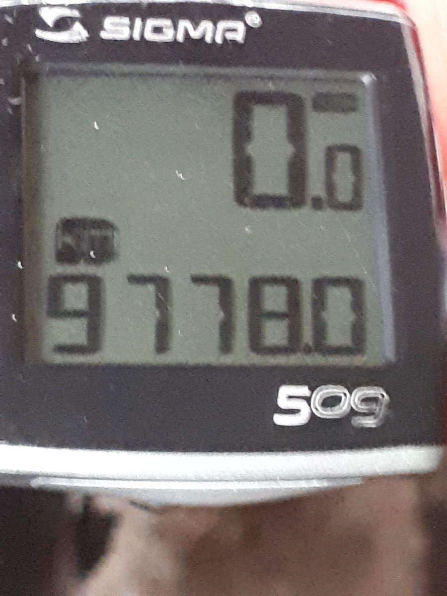 cor van den berg tweet media