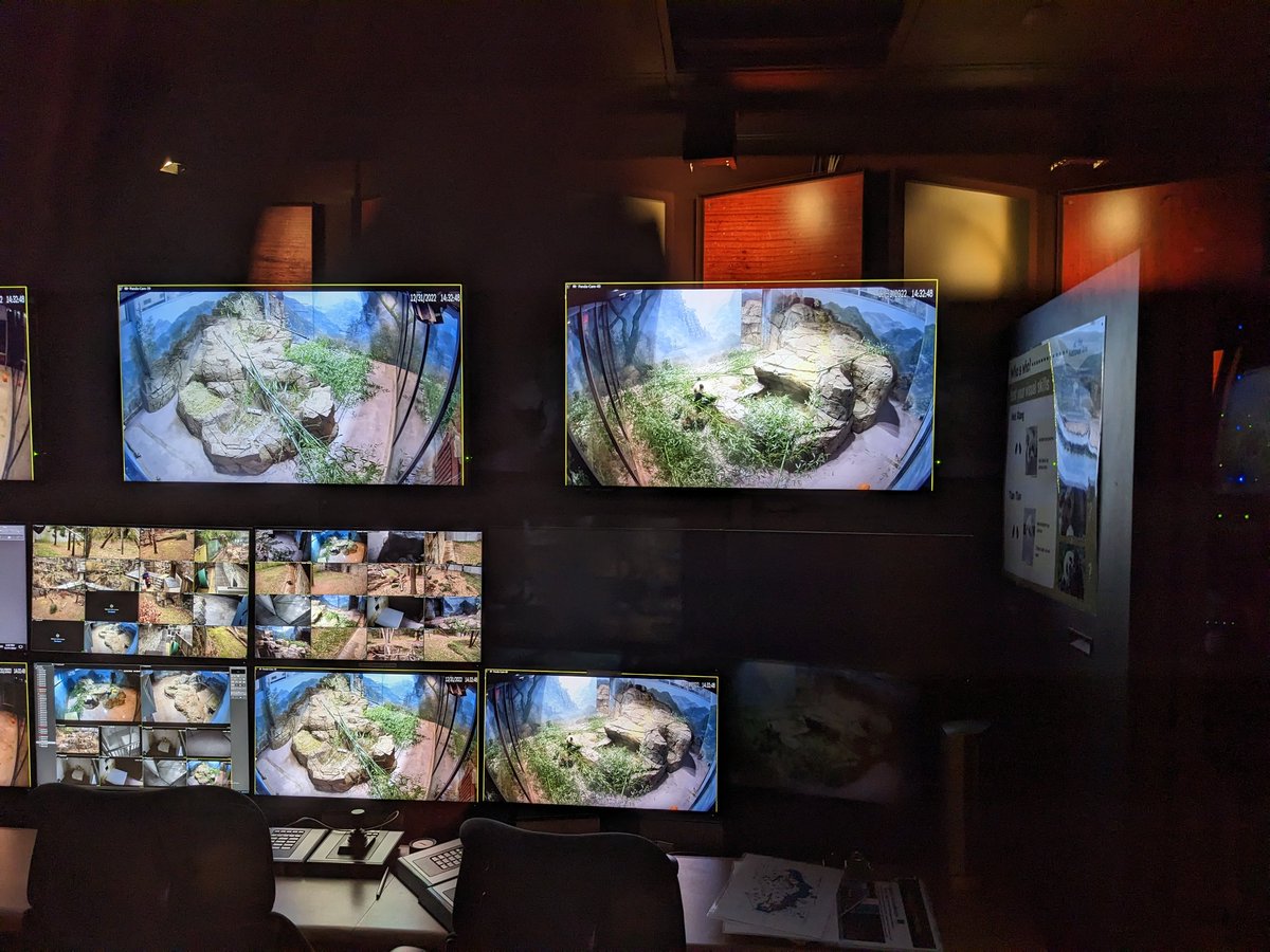 .<a href="/vinsonlee/">Vinson Lee</a> found the panda cam