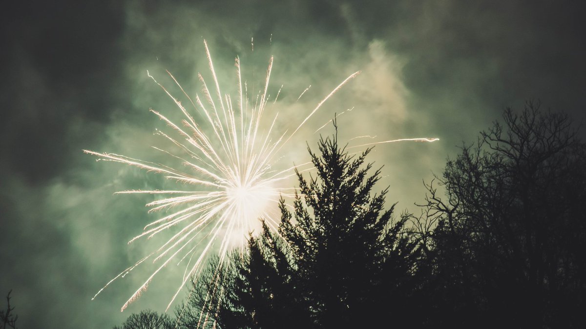Happy New Year! Wishing you a fun and magical evening with friends and loved ones. 💚