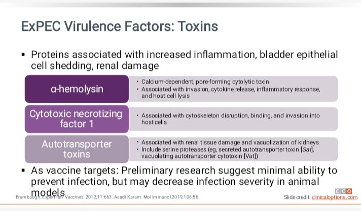 Dra_LilySoto's tweet photo. Cuando hay algo que te #apasiona (#infectious_disease) tanto, no dejas de leerlo o buscarlo, ni siquiera el último día del año...

¡¡¡Consulten  #CCO colegas!!!

¡Convierte a tu #pasión en tu #Mundo! https://t.co/sXxWkeCis7