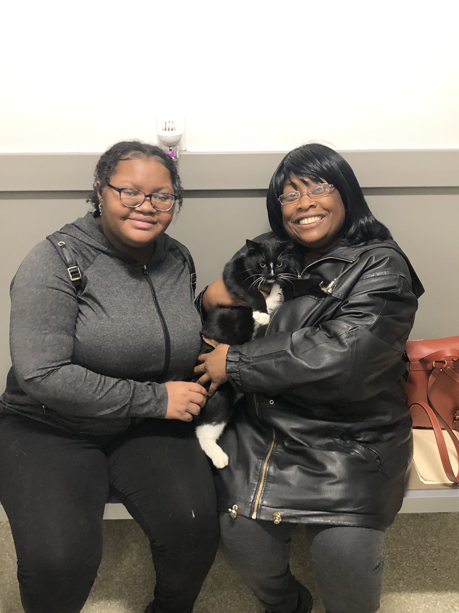 APAofMO's tweet photo. Congratulations to Boots who found a new home today!  Come down to the APA Brentwood to find your new best friend!!! https://t.co/aiHDdCdG8X