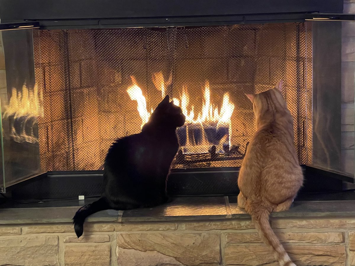 ModernMedieval Voices tweet media