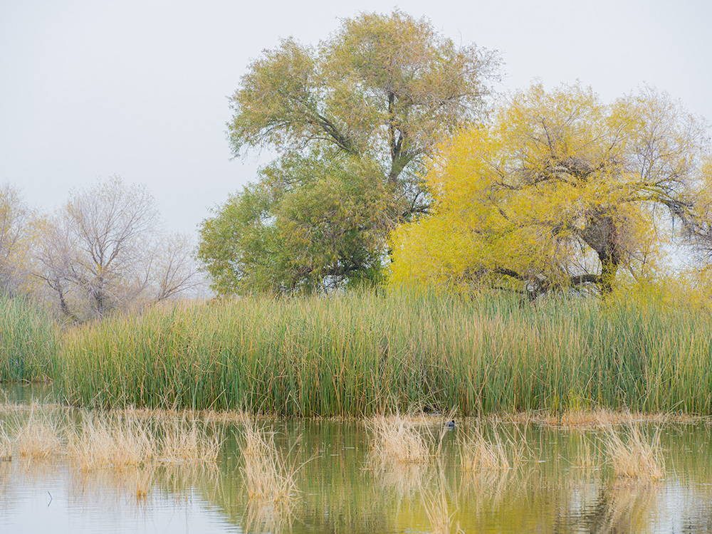 Stephen Johnson tweet media