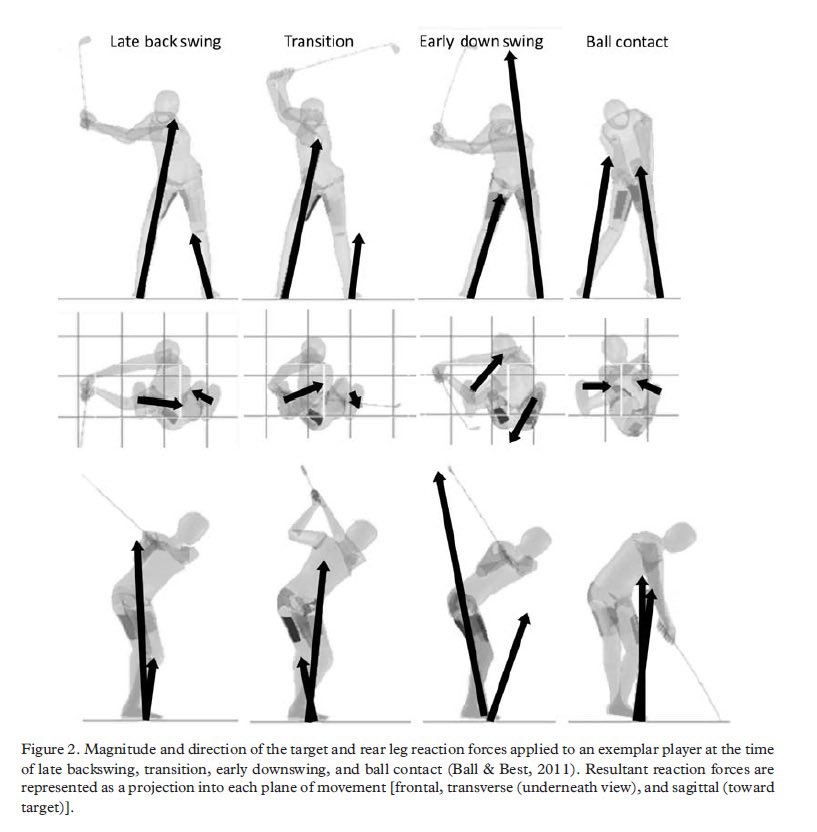 Coach Wayland | Performance Expert | Craftsman tweet media