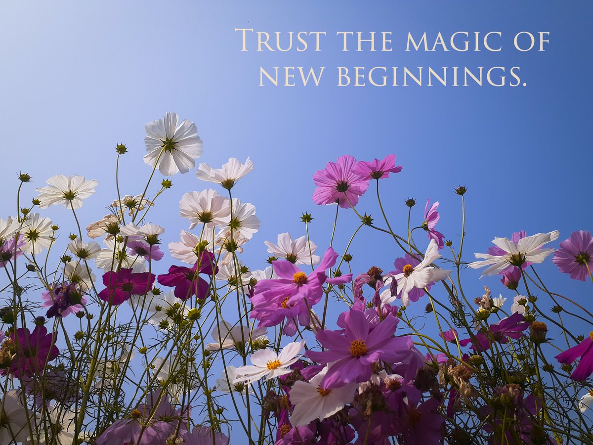 kaushikbkp's tweet image. #HNY2023