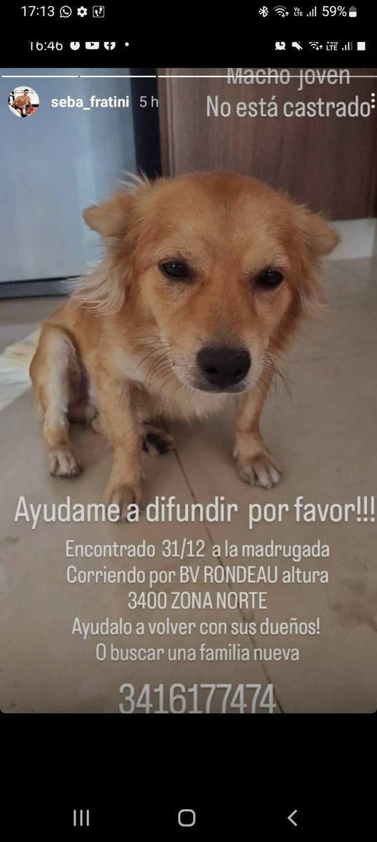 Daniel Amoroso (@daniamoroso) on Twitter photo 