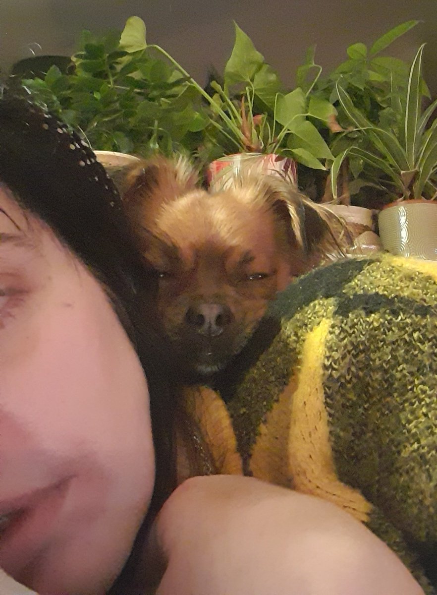 TimeTrawler's tweet photo. Dumpling. My bestie. 15/10. #Dogsof2022 #DogsOnTwitter #dogsarefamily https://t.co/8cSlcavU9b