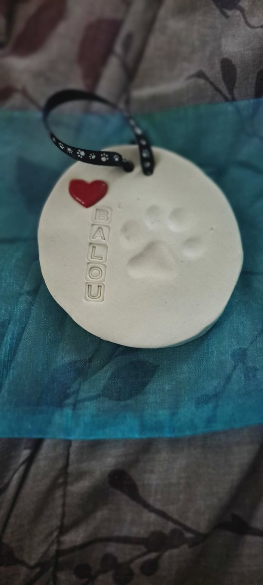 E4everM's tweet photo. Day 3
I hate coming home from work and you're not there to greet me w/your sister Leelu π She misses you too. I'm pouring all the love I have for you, in her. So she'll be extra extra loved. Our bond will be stronger bcus of you β€οΈ #RIPBooBoo #doodle #rainbowbridge https://t.co/kPBpJySfYH