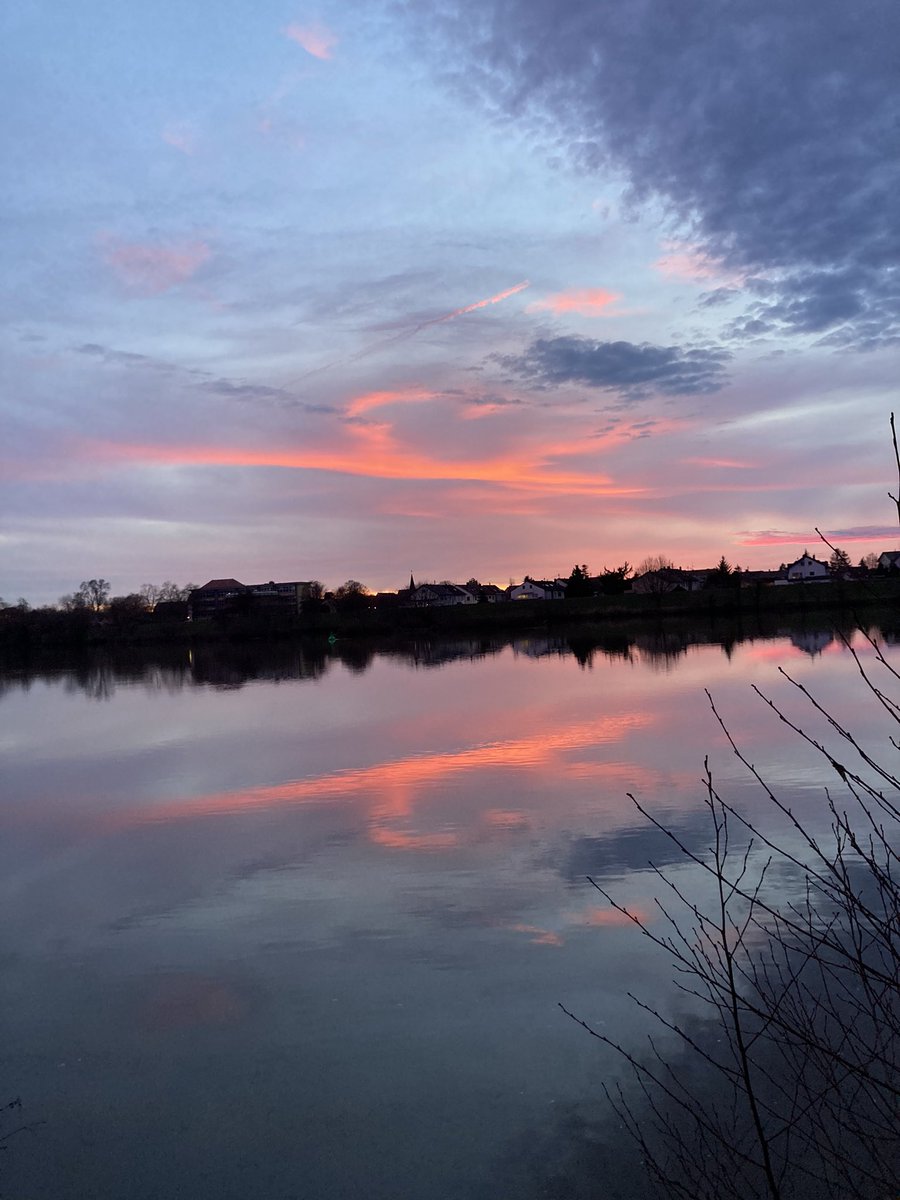siastrack12's tweet photo. Posting all the photos of my walk cause it was so pretty today https://t.co/4Dk3yaQiEh