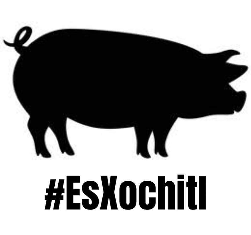 #CirculaEnRedes 🙊