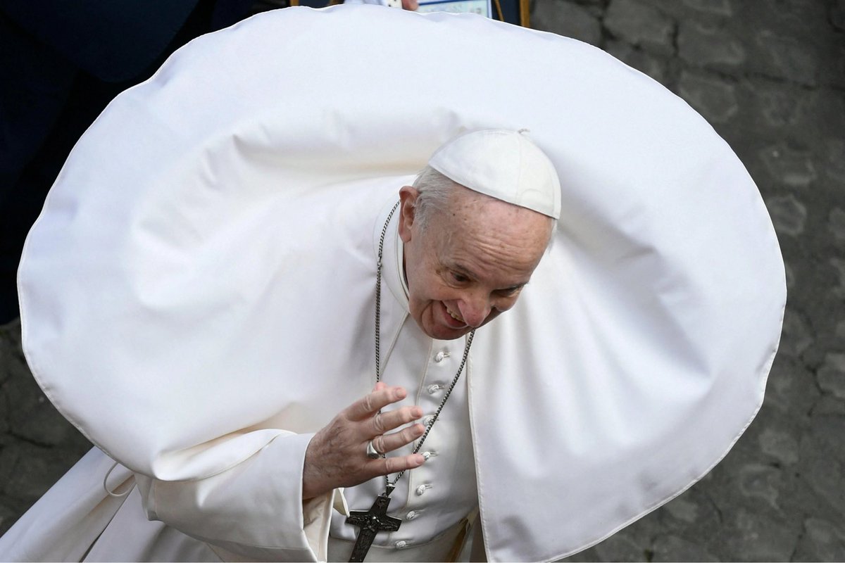 JohnFinnemore's tweet photo. Shocking to hear that the world’s pope population may have declined by as much as 50% this year. We must do more to help conserve these beautiful but fragile creatures. https://t.co/5qkXXSBMnc