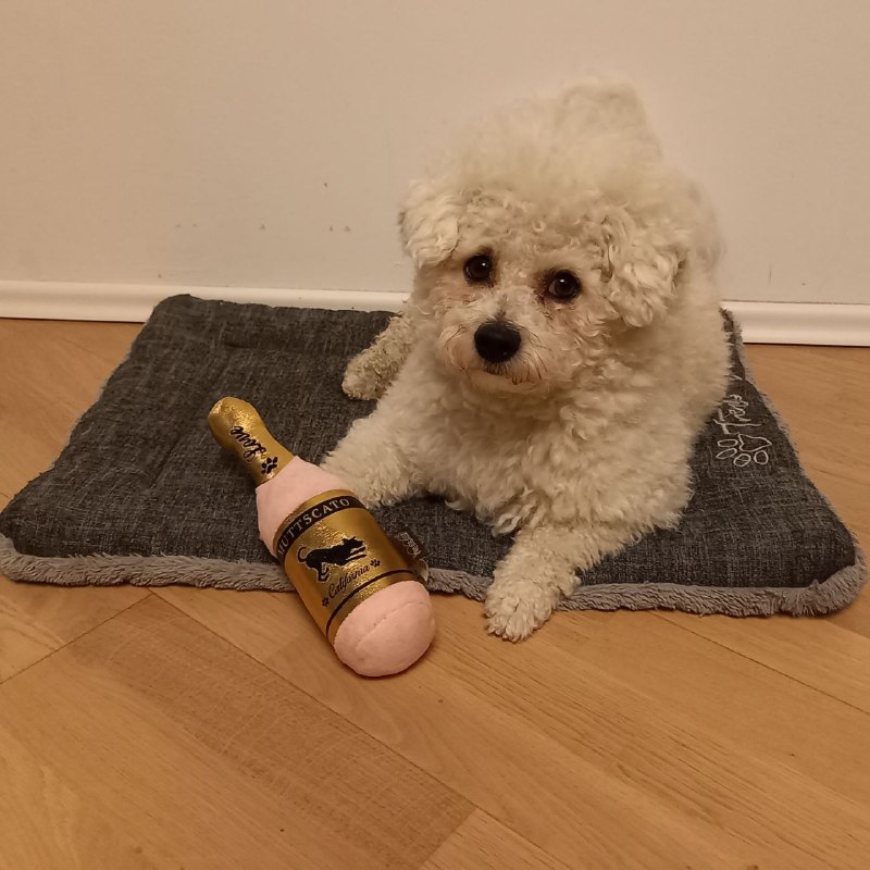 Olaf Kock tweet media