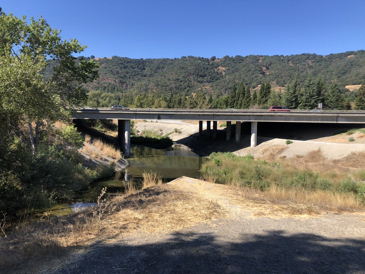 Alyssa Goard on Twitter "Lots of water in our creeks here in
