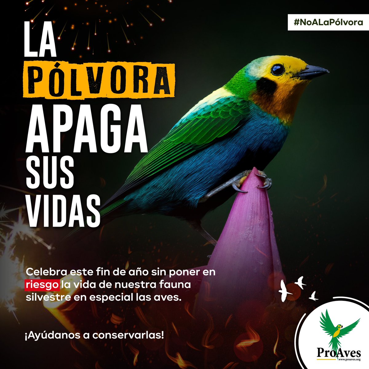 ¡Celebra el año nuevo sin pólvora! 🚫🎇🐦🦜

Recuerda que los estallidos ocasionados por la pirotecnia les puede ocasionar ataques cardiacos o hasta la muerte. 💔

¡Ayúdanos a proteger nuestra avifauna! 🦜💚
.
.
.
#NoalaPólvora #Aves #Conservación #Colombia #Antioquia #Pets