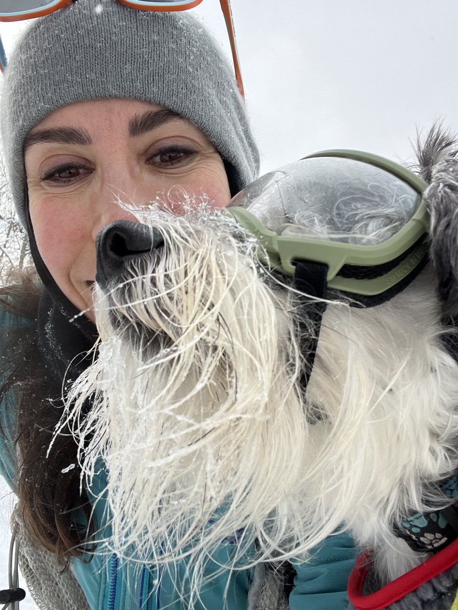 ShawnaCurry_'s tweet photo. I made a #pupsicle on our #ski at #lakelouise https://t.co/AFBw3lN0SF