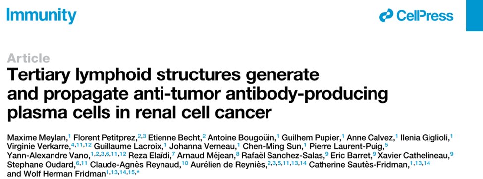 Tertiary lymphoid structures generate and propagate anti-tumor
