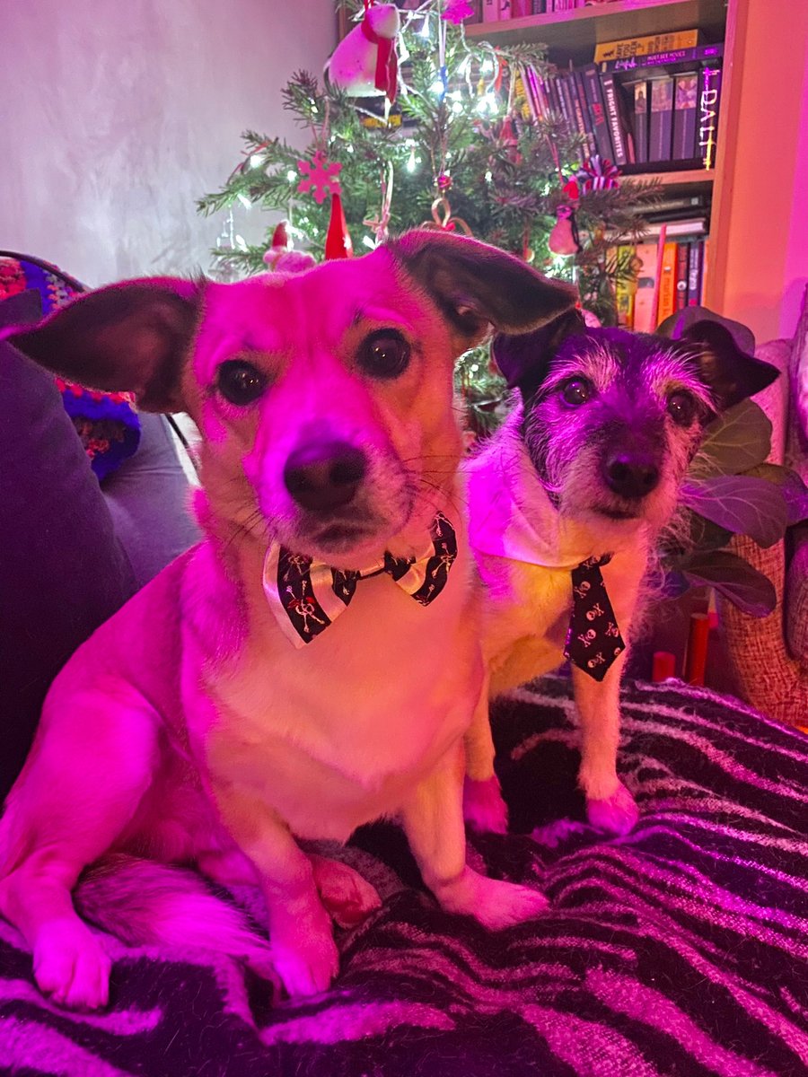 Happy New Ears from these fellas