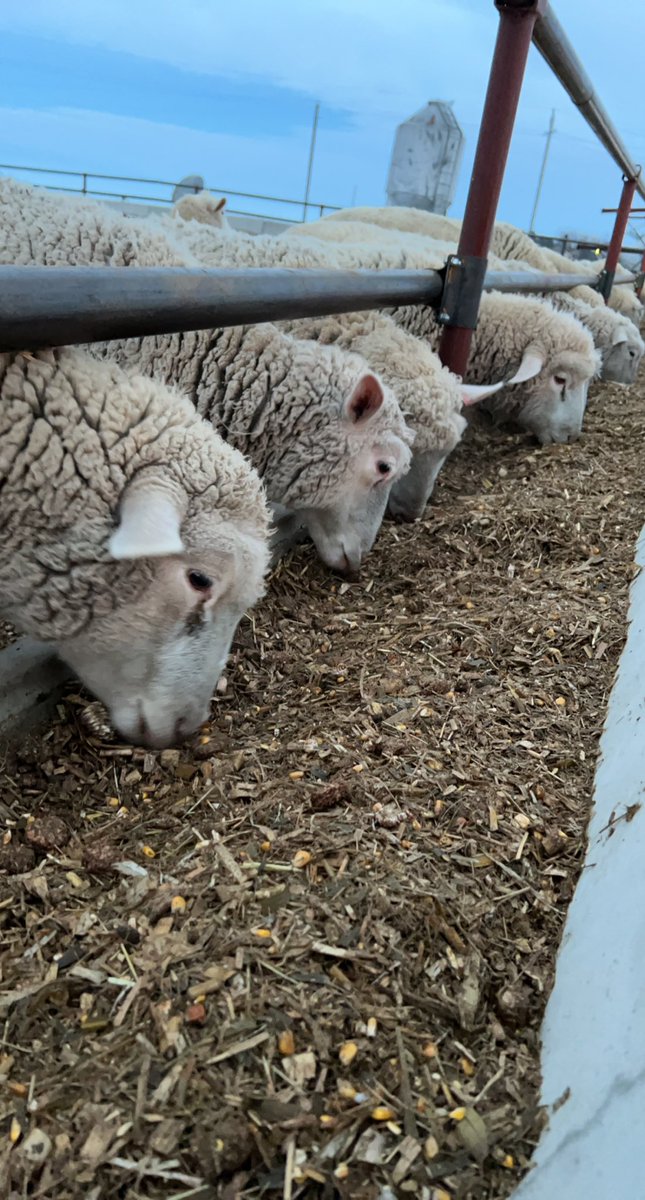 RHoiten's tweet photo. See EWE all next year! Happy new year! https://t.co/RXCxnii22y
