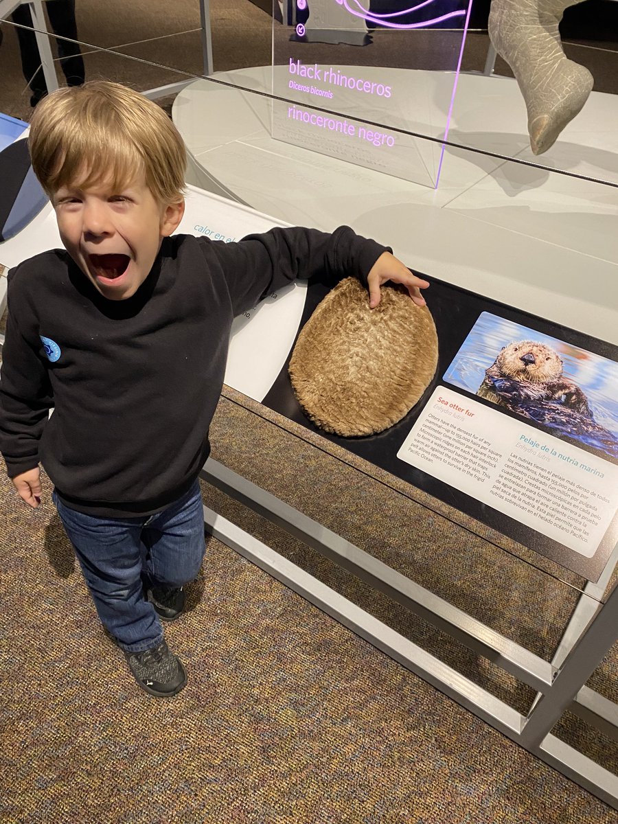 When L’Otter finds an otter display.. <a href="/ScienceMusofVA/">Science Museum of Virginia</a>