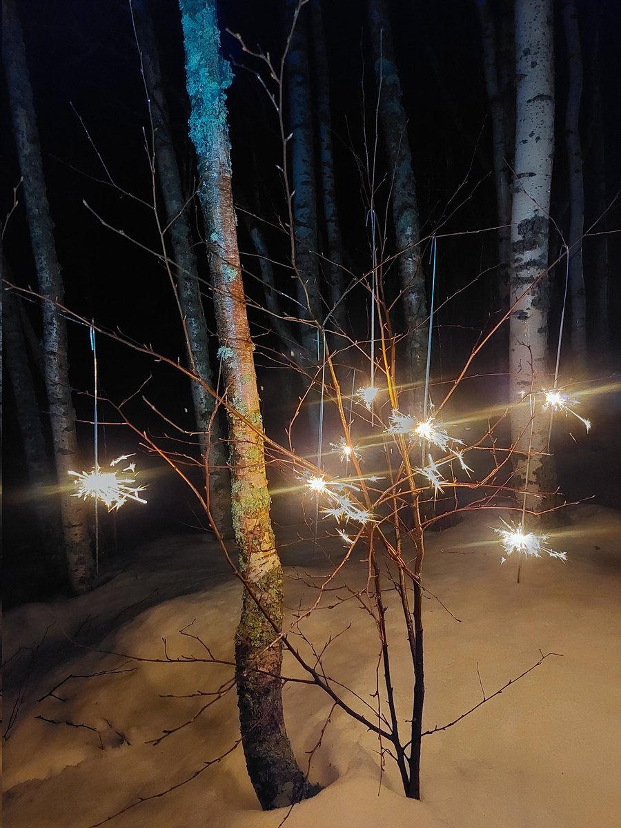 JiiTeeTai's tweet photo. Hyvää, rauhallista, turvallista ja rakkauden täyteistä uutta vuotta kaikille tasapuolisesti. https://t.co/AR6qxYxcxm
