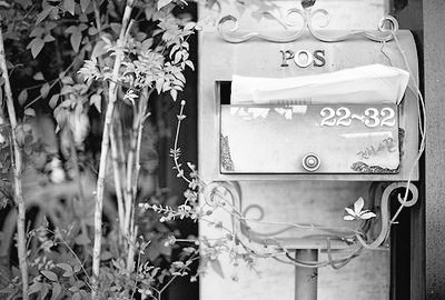 _unicornspace's tweet photo. °•Una pequeña carta para santa•°
#DearAUHA #AUHA #RubegettaOs

Imagine your face
Say hello to me
'Til all the bad days
They're nothing to me
With you•° https://t.co/a3UhHhFElZ