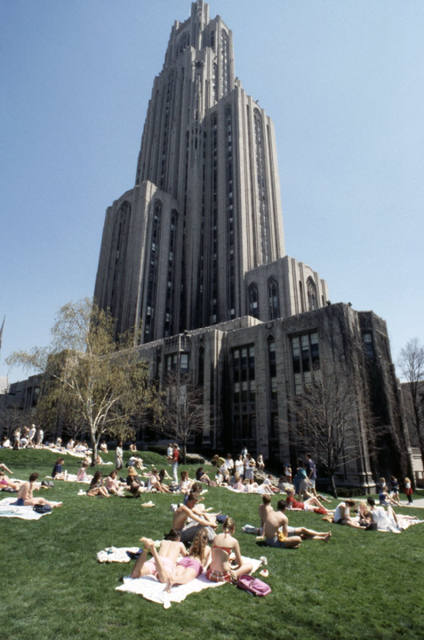 PittAlumni's tweet photo. As a nod to @PittTweet's top posts of the year, here's a retrospective of 2022 through the PAA's pages ππ
Our #PittAlumni loved #throwbacks from the '90s π and the '80s π lots of Cathedral pics π plus #PittHC22 celebrations π
If we missed your favorites, let us know π https://t.co/2Gx4aE7WLC