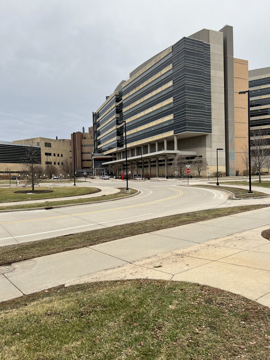 The last lab day of what was my most challenging research semester thus far. Failure is a given in academia, but what matters is both how you frame it and get up when knocked down. Excited to get better next year in pursuit of my dream job! #AcademicTwitter