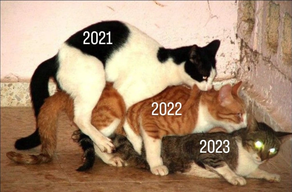tanayozyurtlu's tweet photo. https://t.co/pG3V5ij2Zz