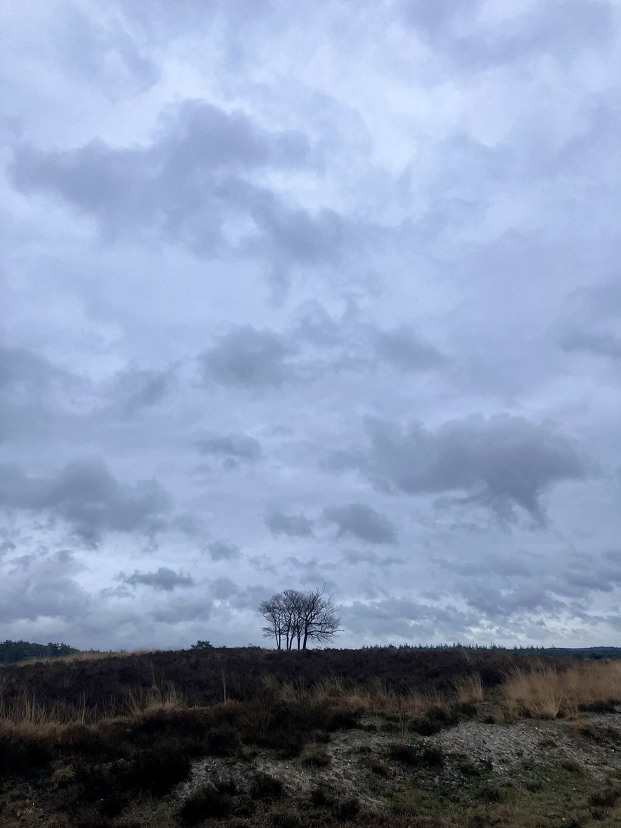 311222 -Liesberg: lente komt.