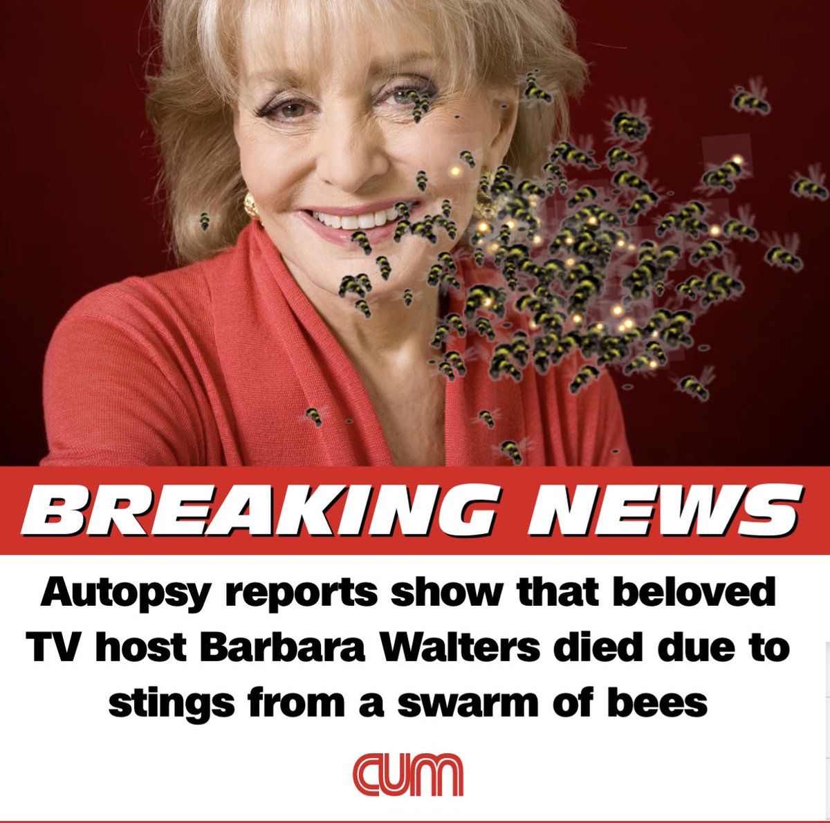 CUMnewsNET tweet picture