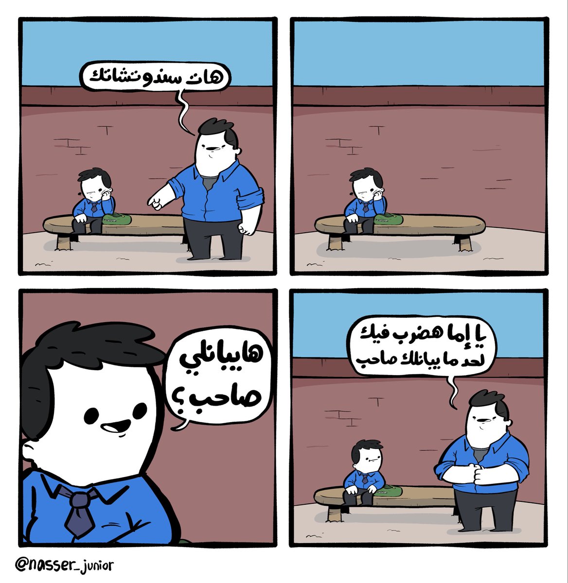 ٦ - من مذكرات شكري 