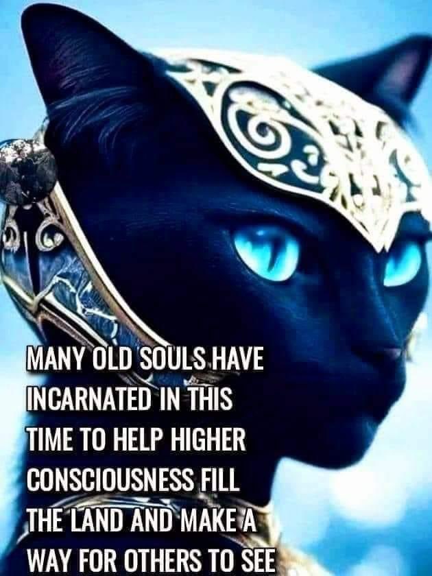 EllenRedd's tweet photo. I didn’t want to incarnate now, except that I saw the need for divine intervention. 👽 #starseed #humanangel https://t.co/5qM2kithgz