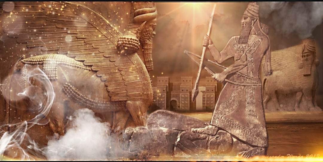 #lraqMsptmia tweet media