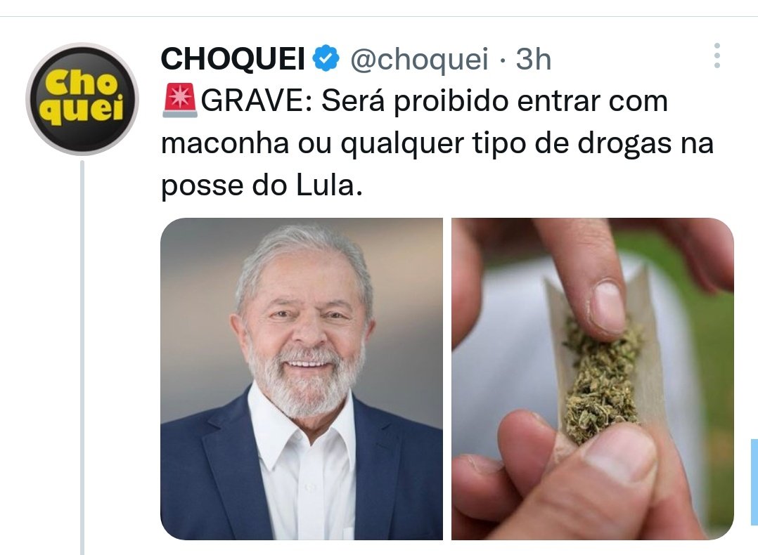 Flávia Leão tweet media