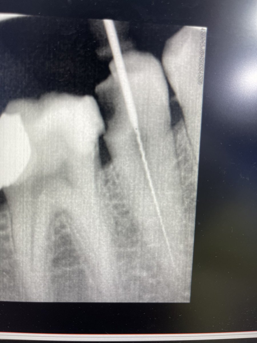 د. مشّاري tweet media