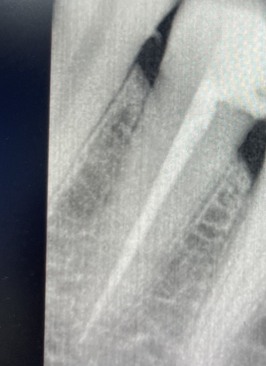 د. مشّاري tweet media